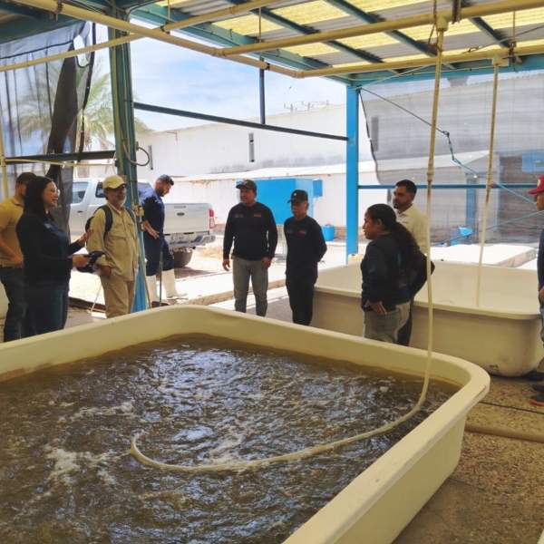 Evalúan mejoras de infraestructura y energía para el CREMES